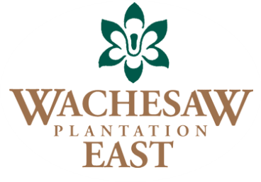 wachesaw logo